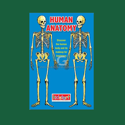 Human Anatomy Wipe Clean Book MBKANA